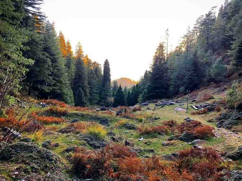 Shimla Special With Shali Tibba Trek